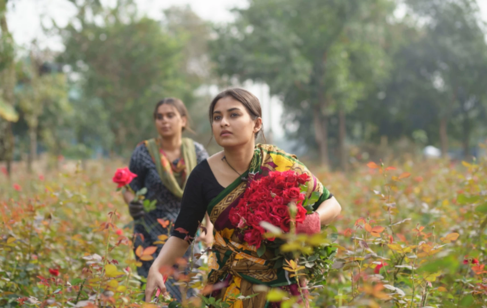 গোলাপ বাগানে ফুল তোলার চাকরি নিলেন তটিনী!
