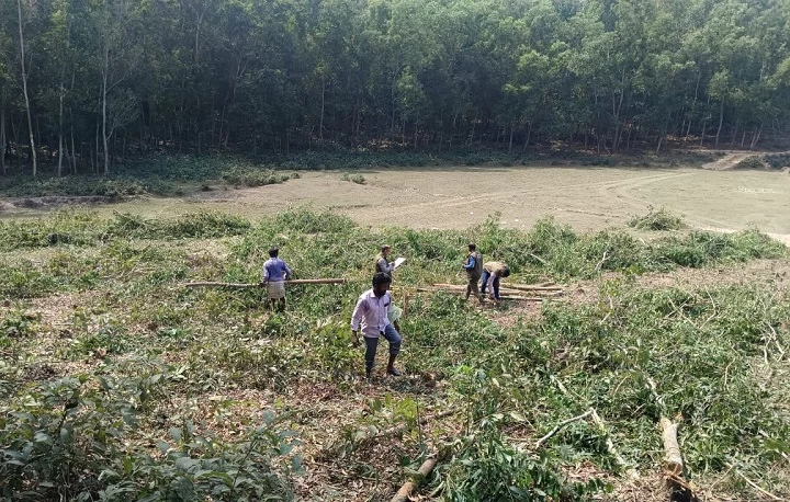 কক্সবাজার দক্ষিণ বনবিভাগে বন ধ্বংসে বনকর্মীরা
