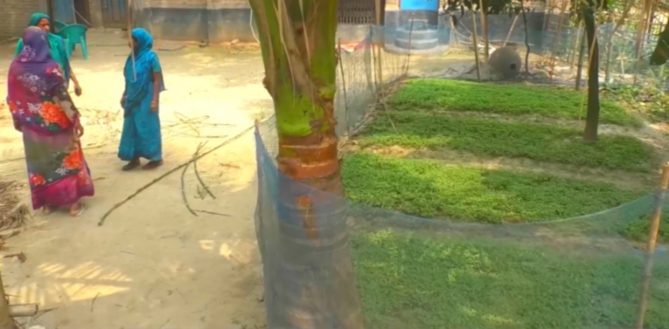 ছাগলে ফসল খাওয়ায় কুপিয়ে যখম, আহত ৬