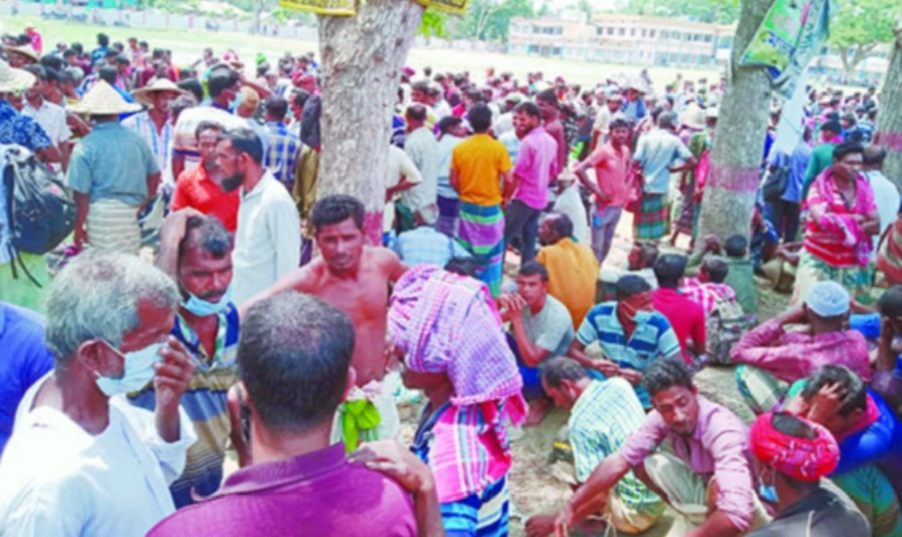 বাগেরহাটে ধান কাটা মৌসুমে জমে উঠেছে কিষানের হাট
