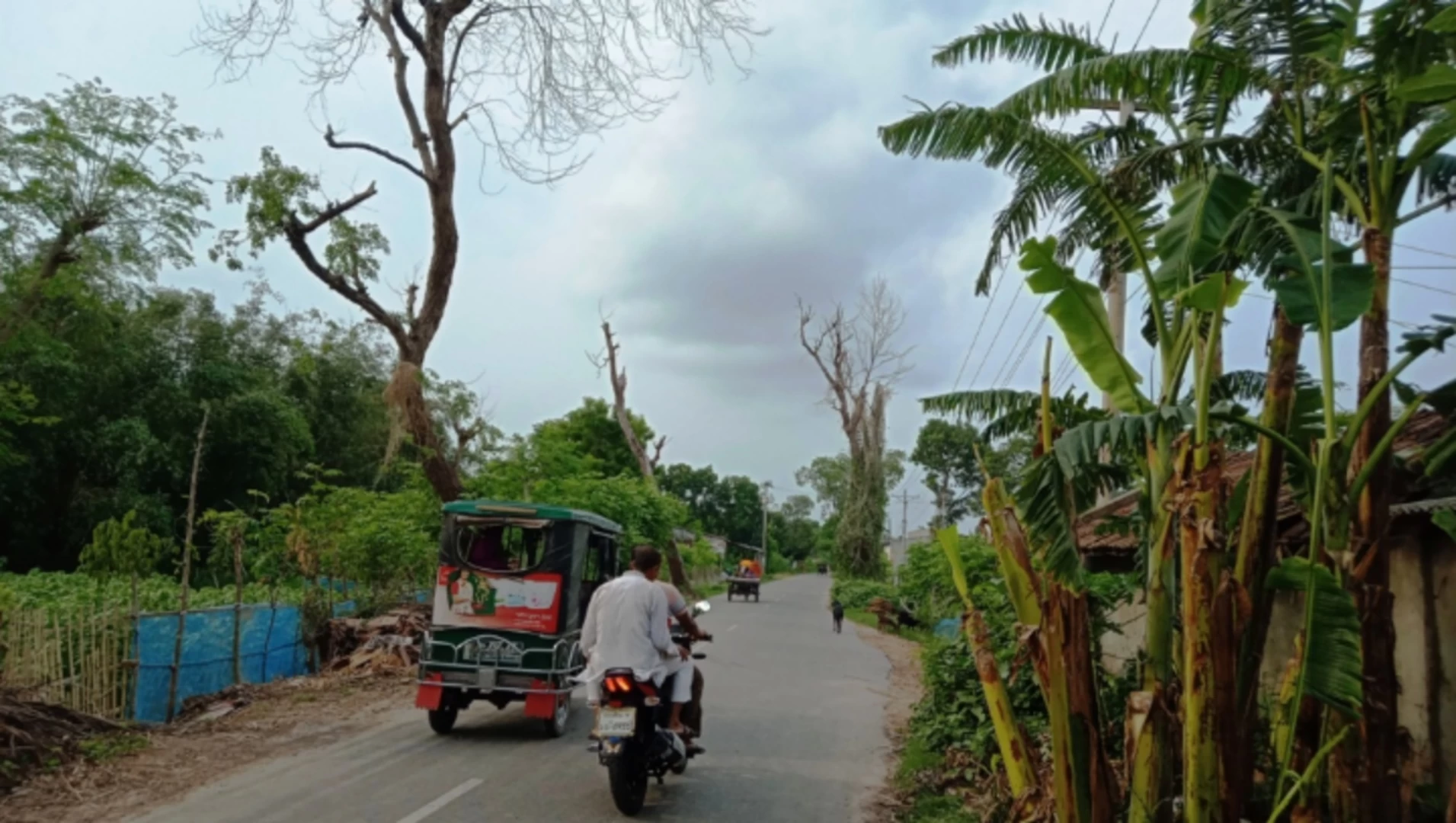 রাস্তার পাশে শুকনো গাছ, প্রাণ ঝুঁকিতে পথচারীরা