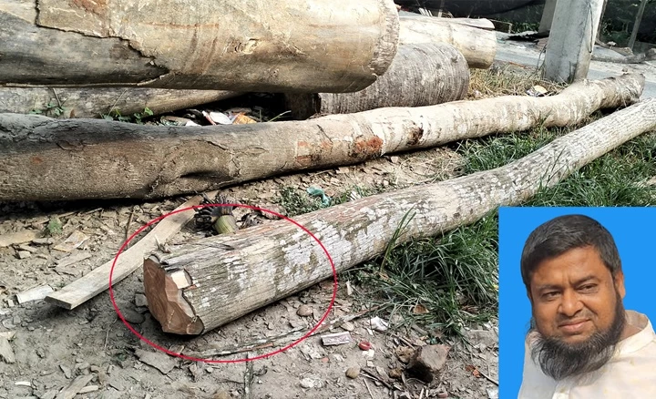 বাগেরহাটে চুরিকৃত সরকারি গাছ উদ্ধার, মামলার নির্দেশ
