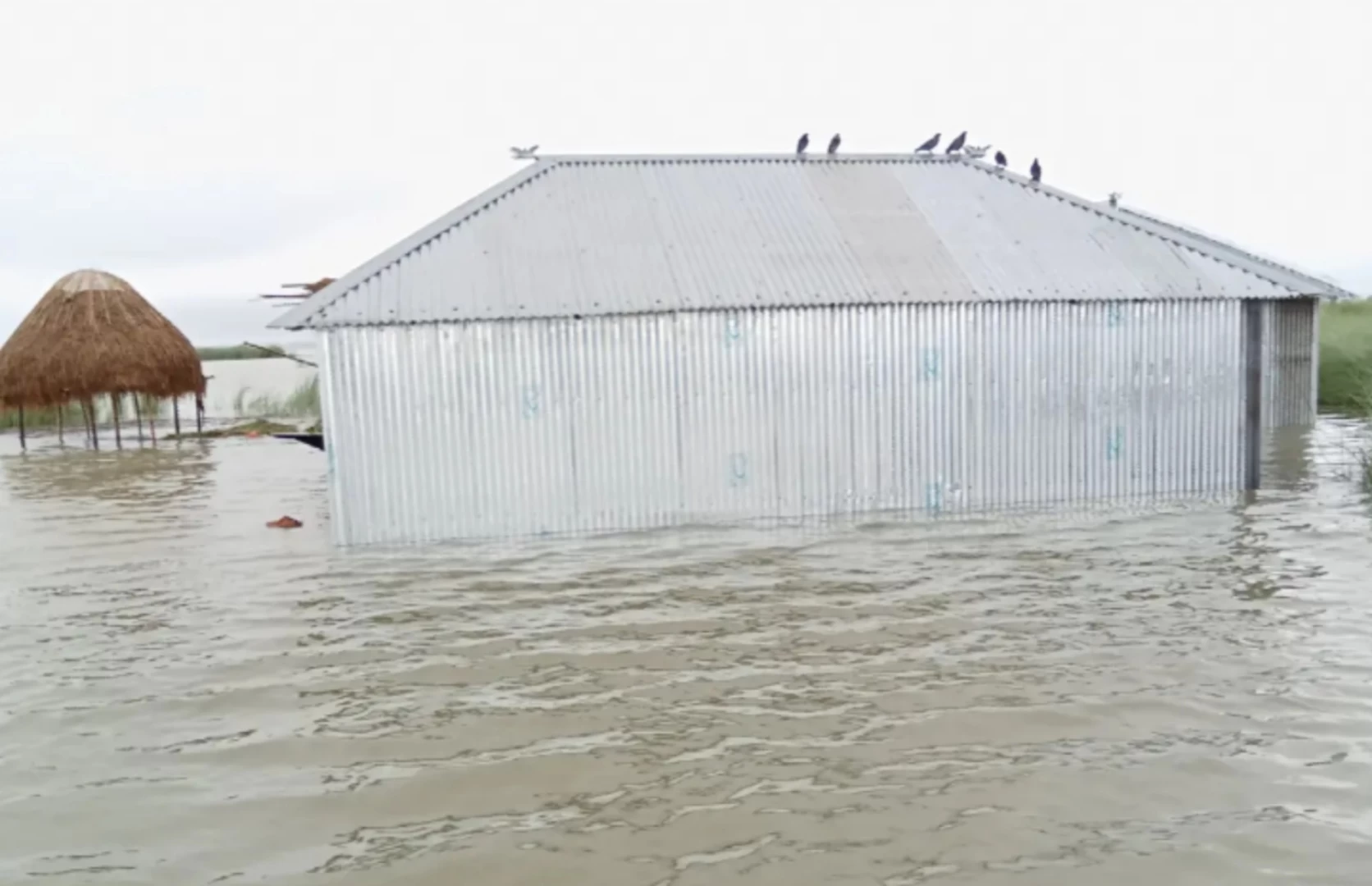 বিপৎসীমার ওপরে ধরলা-ব্রহ্মপুত্রের পানি, পানিবন্দি শত শত পরিবার