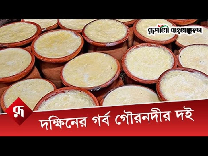 দক্ষিনের গর্ব গৌরনদীর দই | জনপ্রিয়তা পেয়েছে ইউরোপ আমেরিকায়